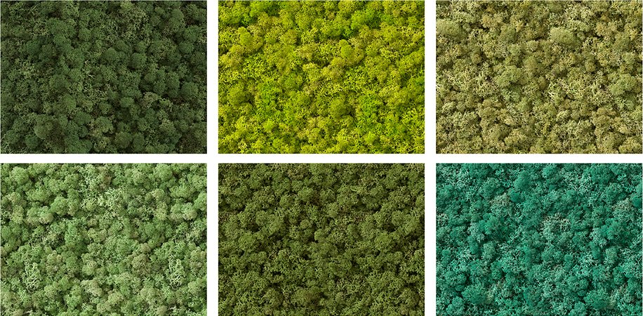 The Colours of Natural Moss - Panespol - Paneles Decorativos Pared